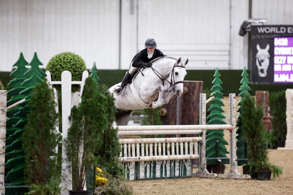 A rider in equestrian gear guides a gray horse over a jump in an indoor show jumping arena with artificial trees and a scoreboard in the background.