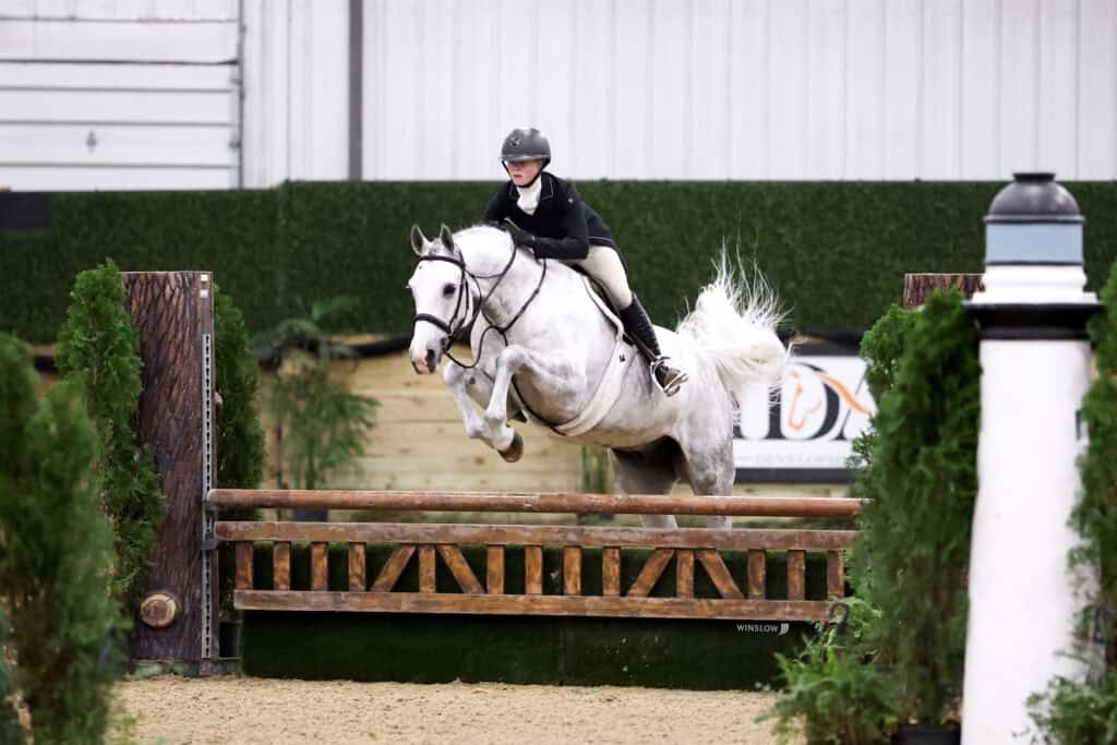 A rider in equestrian attire guides a white horse over a wooden jump in an indoor arena during a show jumping event.