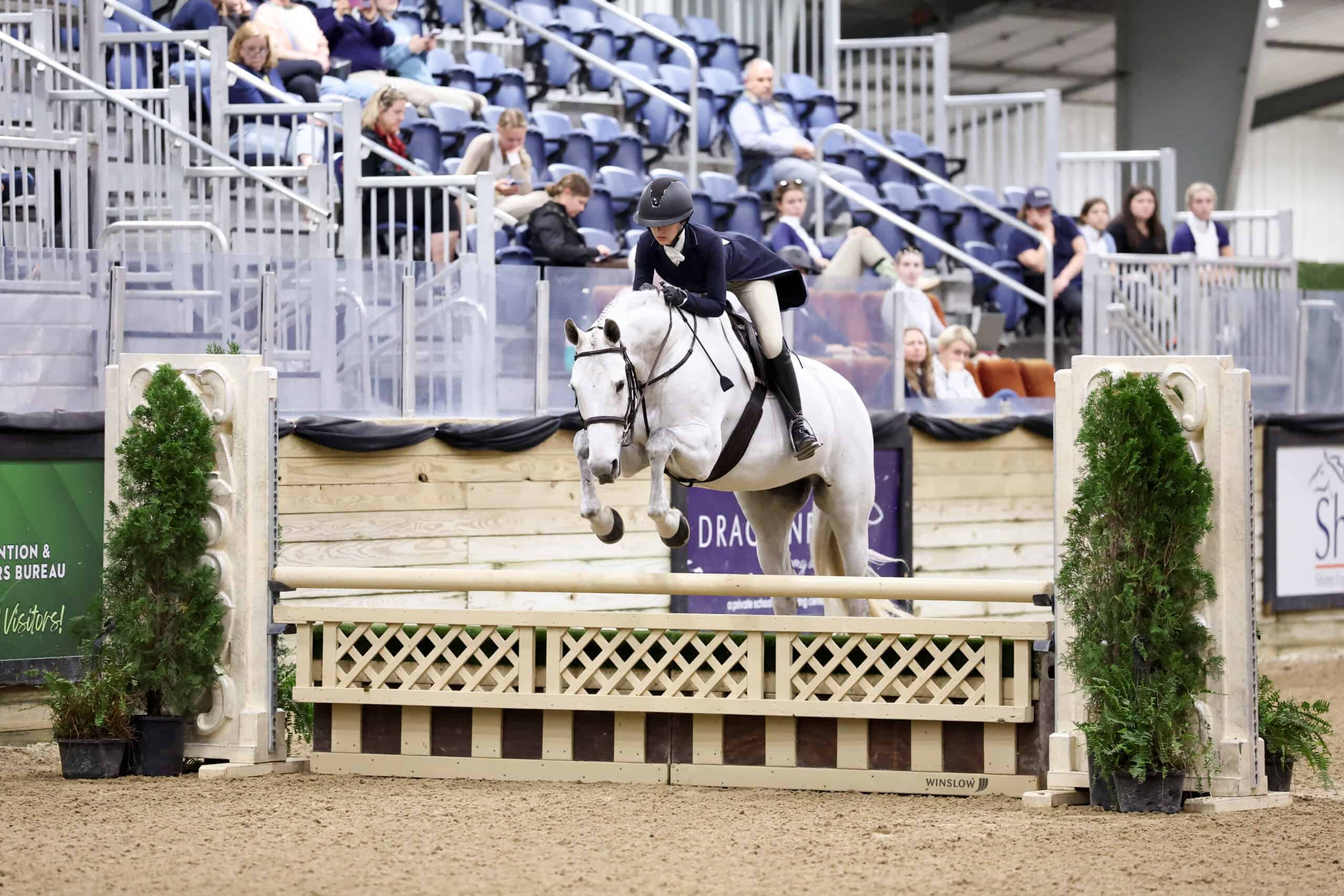 A rider in equestrian attire on a white horse jumps over an obstacle during an indoor show jumping event, with spectators seated in the background.