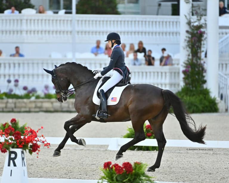 A rider in equestrian attire guides a brown horse through a dressage routine in an outdoor arena, with red flowers and spectators in the background.