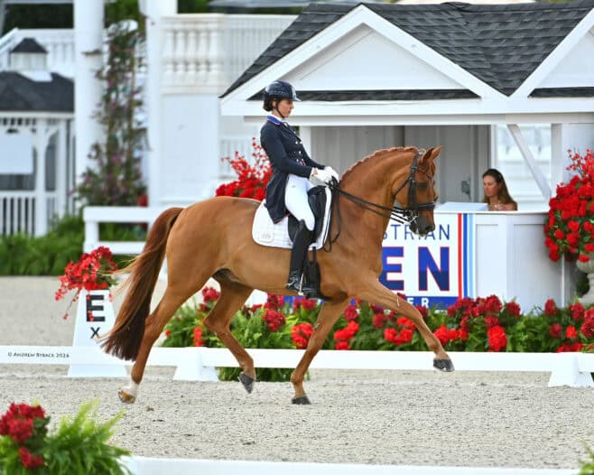 A rider in formal equestrian attire performs a dressage routine on a chestnut horse in an outdoor arena with flower displays and a white pavilion in the background.