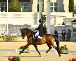 A rider in formal equestrian attire guides a brown horse through a dressage routine on a sandy arena with white fencing and a building in the background.