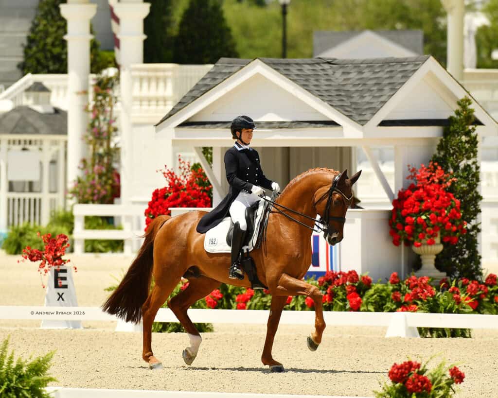 A rider in formal equestrian attire participates in a dressage competition, riding a chestnut horse in an outdoor arena with red flowers and white fences.