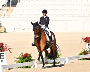 Equestrian rider in formal attire guides a brown horse during a dressage competition in an outdoor arena with white barriers and red flower arrangements.