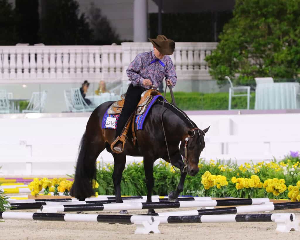 A rider in a cowboy hat guides a dark horse over black and white poles in an outdoor arena with yellow flowers and white railings.