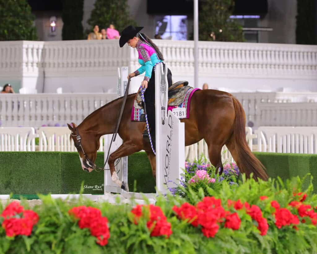 A rider in a colorful outfit and black hat guides a brown horse over a white pole in an arena decorated with flowers and greenery.