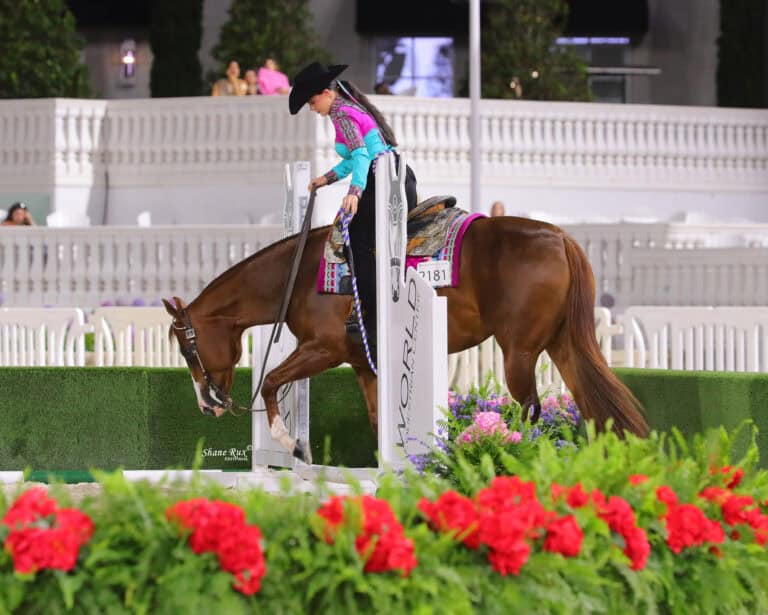 A rider in a colorful outfit and black hat guides a brown horse over a white pole in an arena decorated with flowers and greenery.