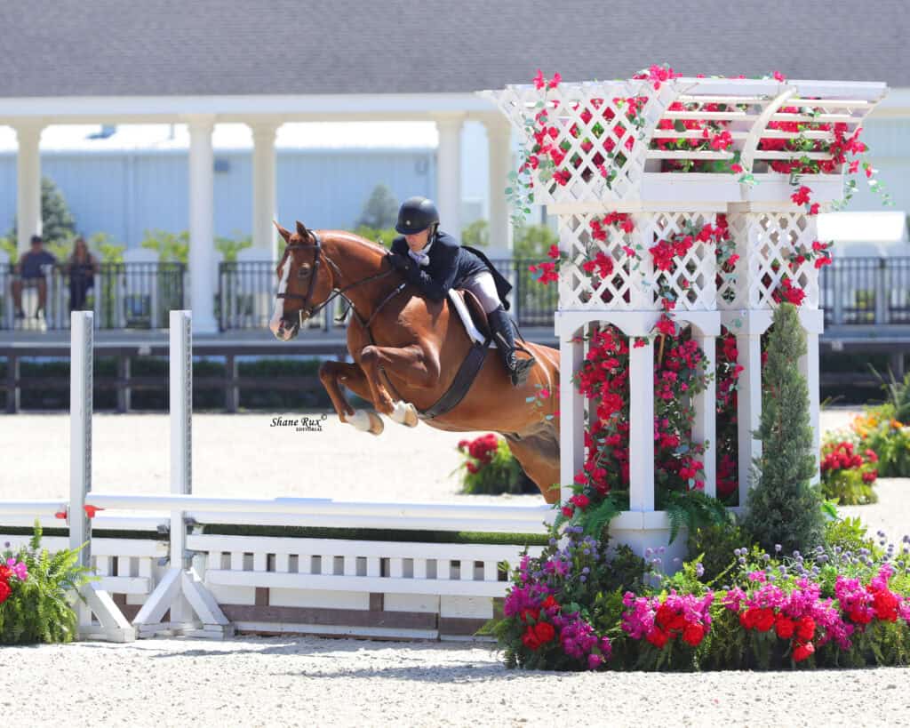 A rider in equestrian attire guides a brown horse over a white jump decorated with red and pink flowers at an outdoor arena.