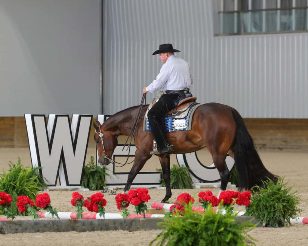 A person rides a brown horse past large “WEC” letters and red flowers inside an indoor arena.