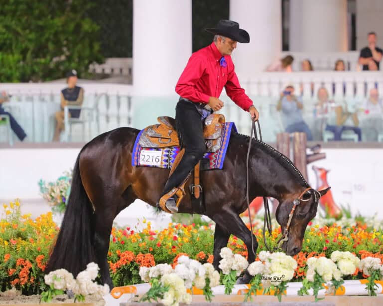 A man in a red shirt and black hat rides a dark horse with a decorative saddle through a flower-filled arena during an equestrian event.
