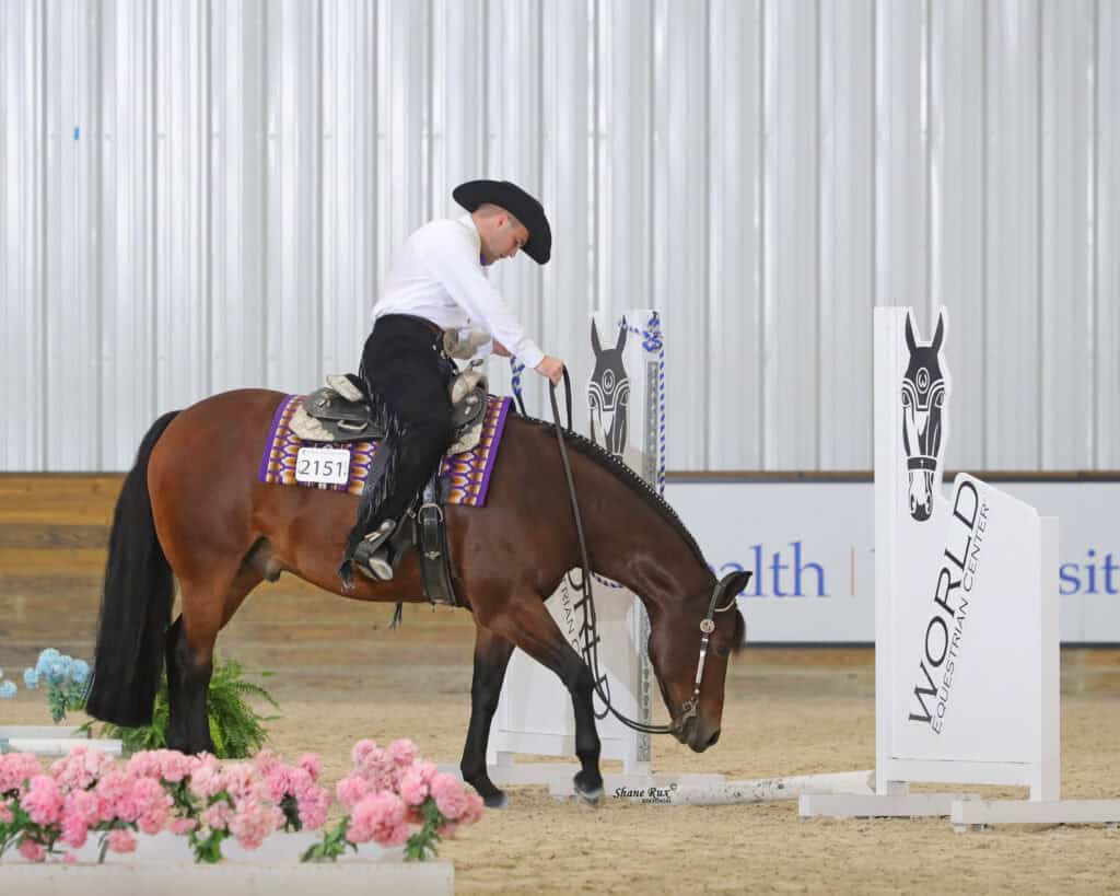 A rider in western attire guides a brown horse over a white pole in an indoor arena with show markers and flowers.