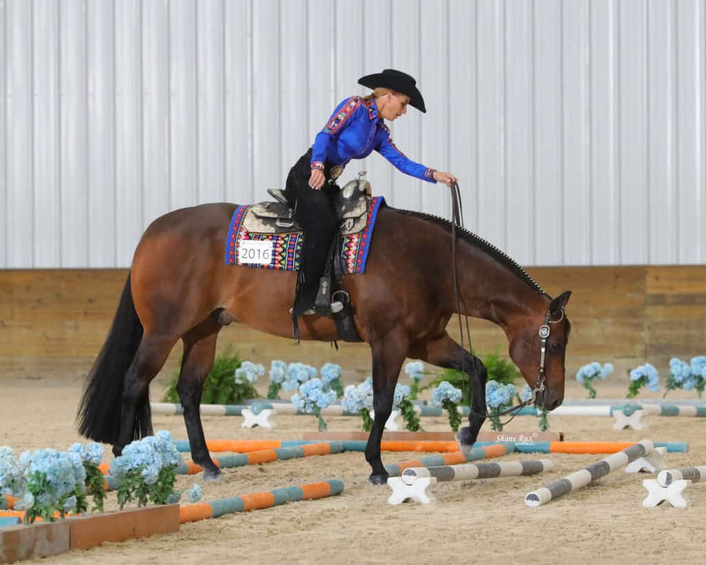 A rider in a blue shirt and black hat guides a brown horse over ground poles in an indoor arena decorated with blue flowers.