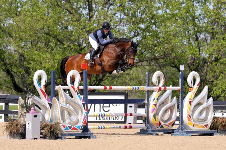 A rider in equestrian gear guides a horse over a colorful show jumping obstacle decorated with swan designs during a competition.