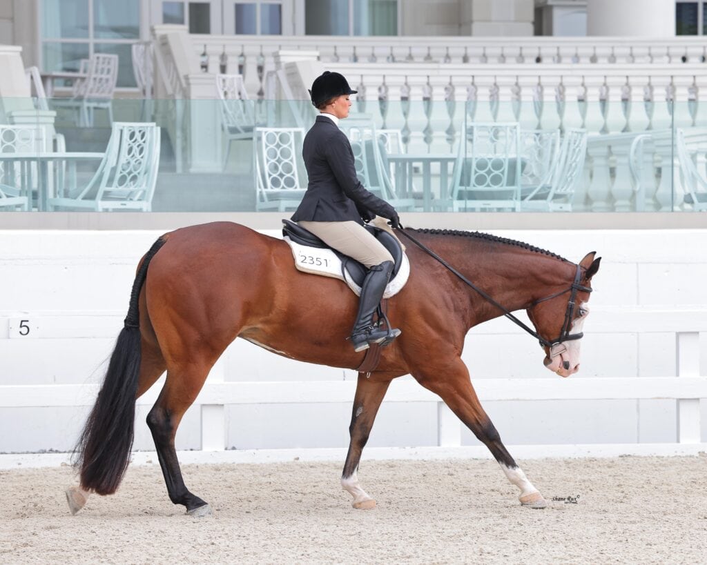 A rider in formal equestrian attire guides a bay horse with braided mane at a walk in a sandy arena, with empty white chairs and a railing in the background.