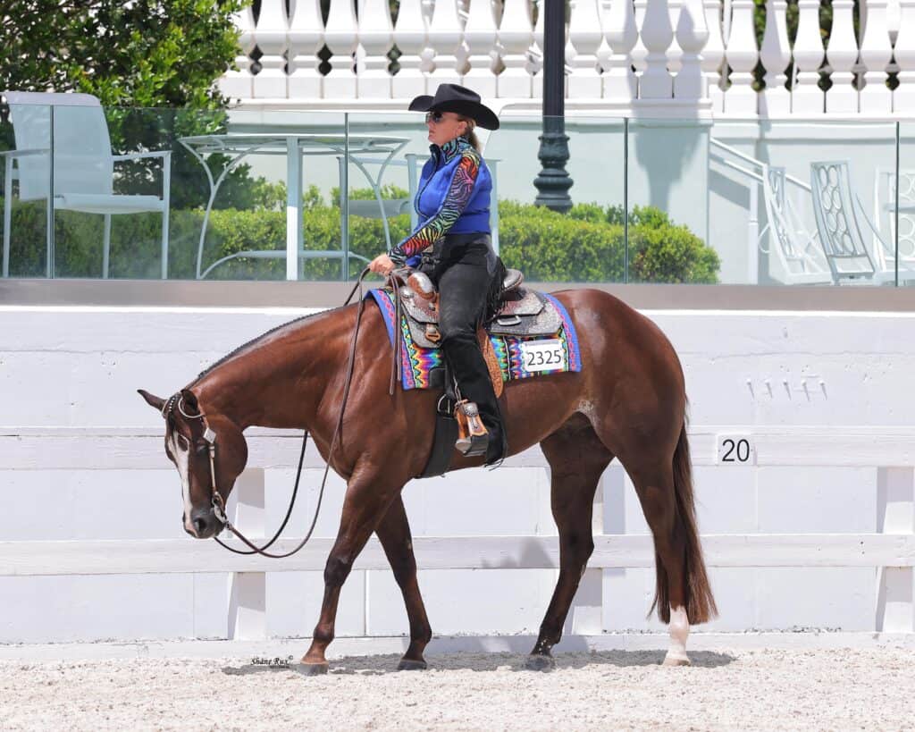 A rider in a blue shirt and black hat guides a brown horse with a colored saddle blanket past a white fence at an equestrian event.