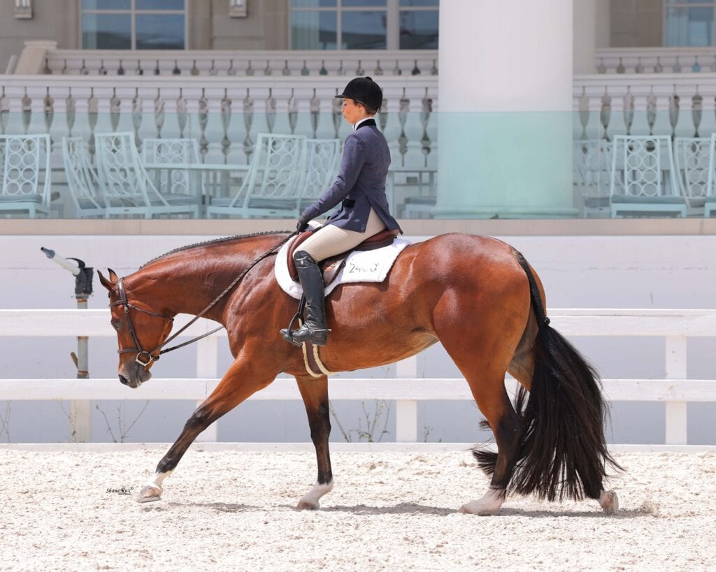 A rider in formal equestrian attire guides a brown horse at a walk in a sandy arena with white fencing and empty outdoor seating in the background.