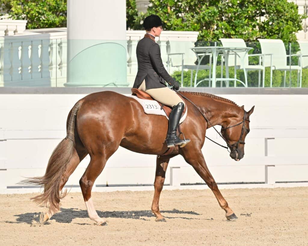 A rider in formal equestrian attire guides a brown horse with braided mane in an outdoor arena with light-colored fencing and chairs in the background.