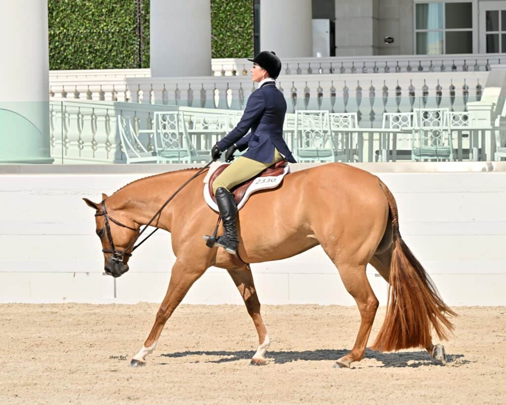 A person in formal riding attire guides a brown horse with a braided tail in a sandy arena in front of a white building.