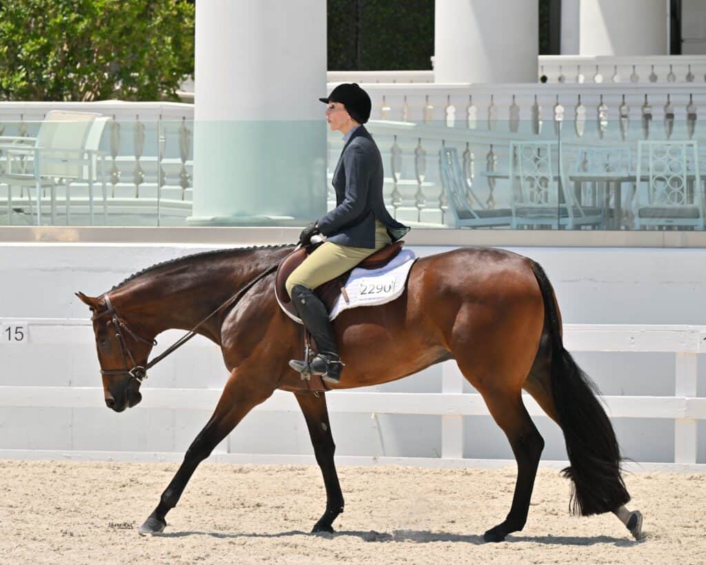 A person in equestrian attire rides a brown horse in an outdoor arena with white fences and columns in the background.