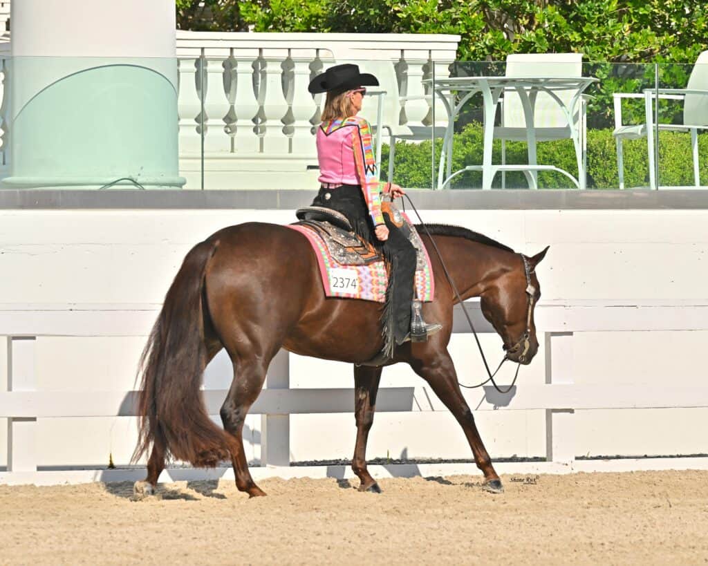 A person in a black cowboy hat and pink jacket rides a brown horse with a western saddle in an outdoor arena.