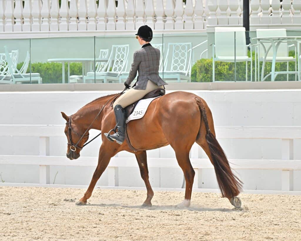 A person wearing a helmet and formal riding attire guides a brown horse in an outdoor equestrian arena, with empty white chairs and tables in the background.