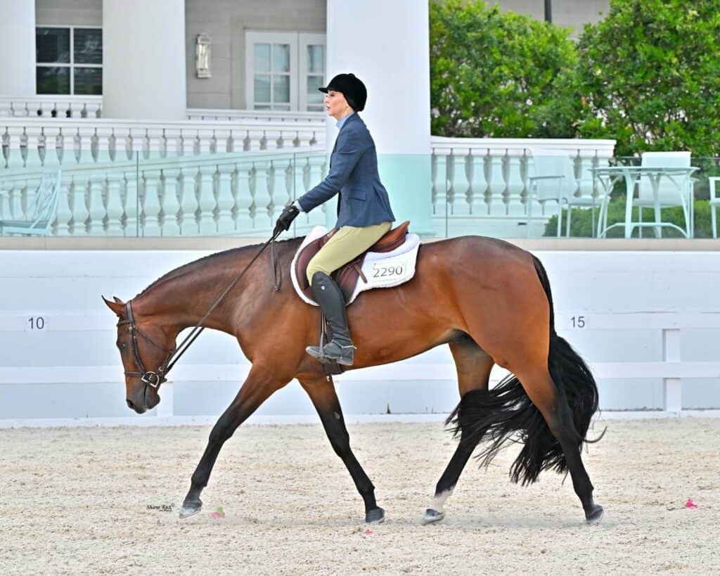 A person in equestrian attire rides a brown horse in an outdoor arena with white fencing and a building in the background.