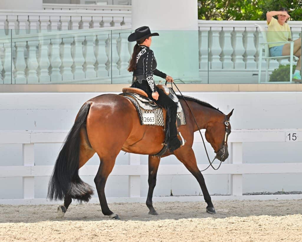 A rider in a black outfit and hat is riding a brown horse in an arena, with a woman sitting in the background behind a glass barrier.