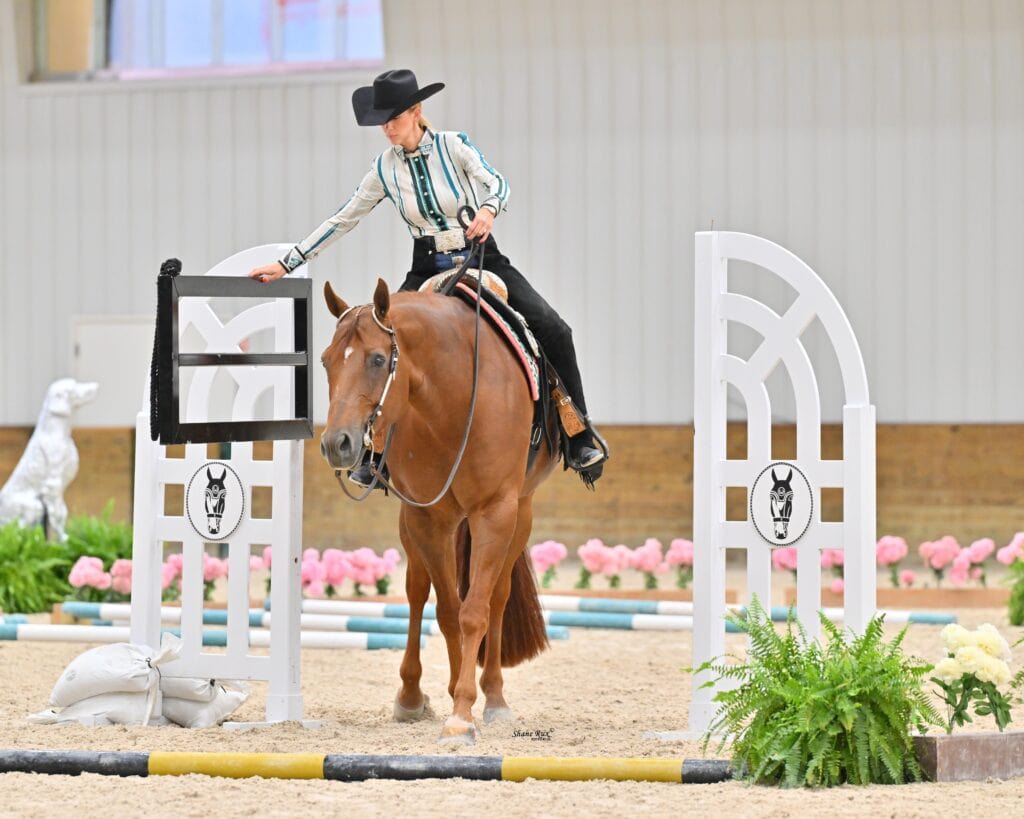 Person in a black cowboy hat and striped shirt riding a brown horse, reaching to touch a white gate in an indoor equestrian arena with plants and flowers nearby.