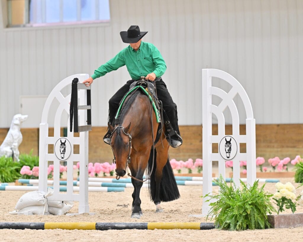 A rider in a green shirt and black hat guides a horse through an arena obstacle, touching a white gate with one hand.