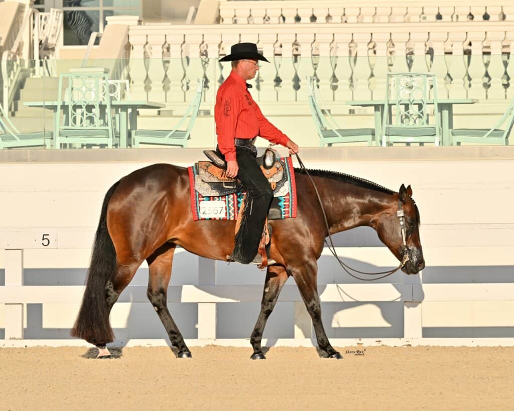 A person in a red shirt and black hat rides a brown horse with a decorated saddle in an arena with empty white seats.
