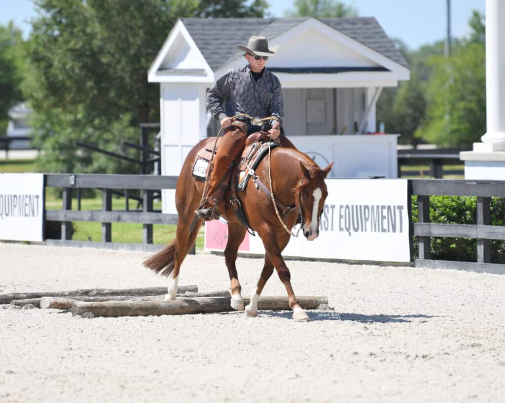 A person in a cowboy hat rides a chestnut horse over wooden poles in an outdoor arena with a white building in the background.