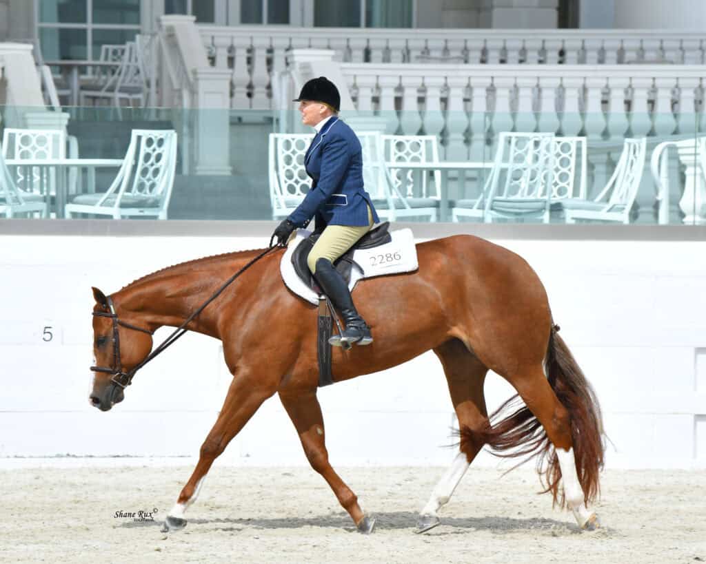 A rider in formal equestrian attire rides a chestnut horse in an outdoor arena, with empty white chairs and a building in the background.