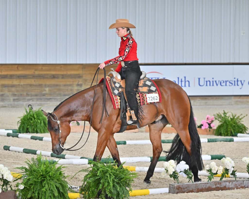 A rider in a red shirt and cowboy hat guides a brown horse through a trail course in an indoor arena with plants and poles on the ground.