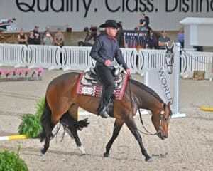 A rider in black attire and hat guides a brown horse with a western saddle in an indoor arena during a competition.