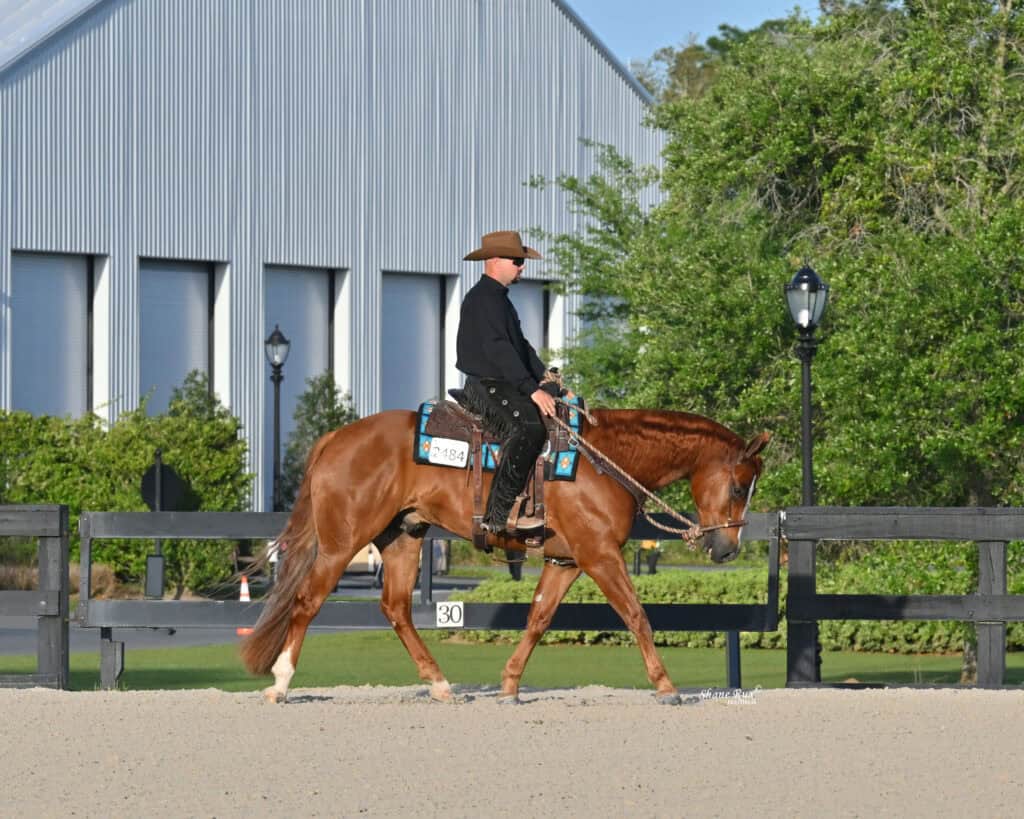 A person in western attire rides a chestnut horse in an outdoor arena with black fencing and a large metal building in the background.