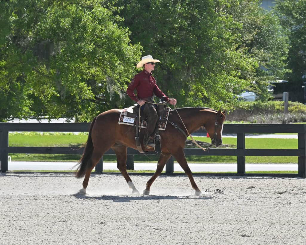 A person wearing a cowboy hat and maroon shirt rides a brown horse in an outdoor arena with a black fence and trees in the background.