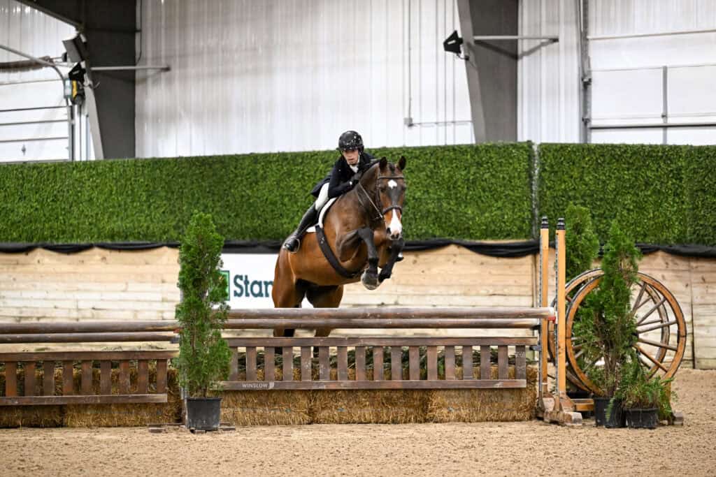 A rider in equestrian attire guides a horse over a wooden jump in an indoor arena with green hedge walls and sandy flooring.