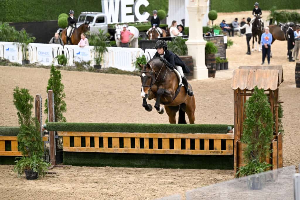 A rider in equestrian attire guides a horse over a jump in an indoor arena, with spectators, other horses, and greenery in the background.