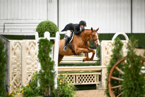 Equestrian rider in black attire and helmet guides a brown horse over a jump during an indoor show jumping competition.