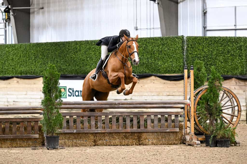 A rider in equestrian attire guides a horse over a wooden jump in an indoor arena during a show jumping event.