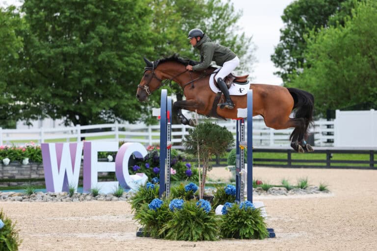 A rider in a green jacket and helmet guides a brown horse over a jump in an outdoor equestrian arena with WEC letters and greenery in the background.