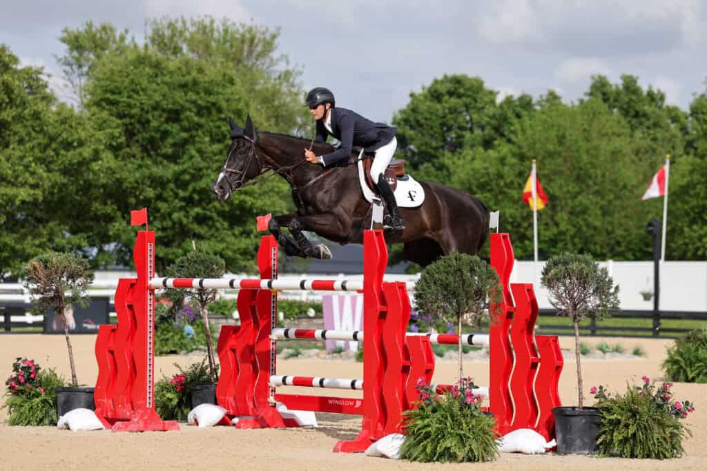 An equestrian rider in uniform jumps a dark horse over a tall red and white obstacle during a show jumping competition outdoors.