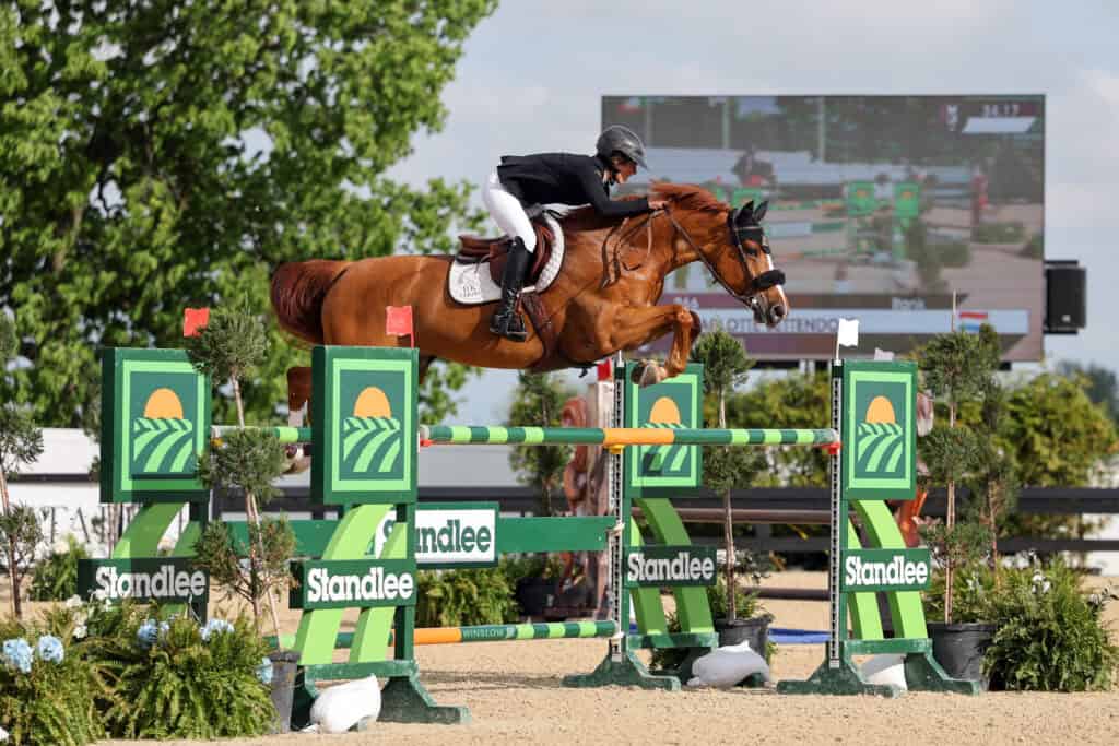 Equestrian rider on a brown horse jumps over a green and yellow obstacle during a show jumping competition, with a large scoreboard visible in the background.