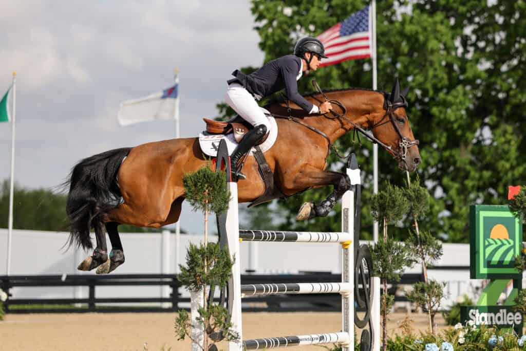 A rider in equestrian attire jumps a brown horse over a white obstacle during a show jumping competition, with flags and greenery in the background.