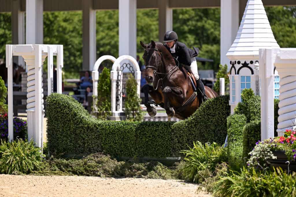 A rider in equestrian attire guides a dark brown horse over a tall, green hedge jump during a show jumping competition outdoors.