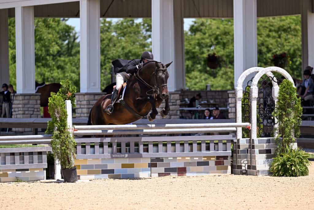 A rider on a dark horse jumps over a fence in an outdoor equestrian arena with spectators in the background.