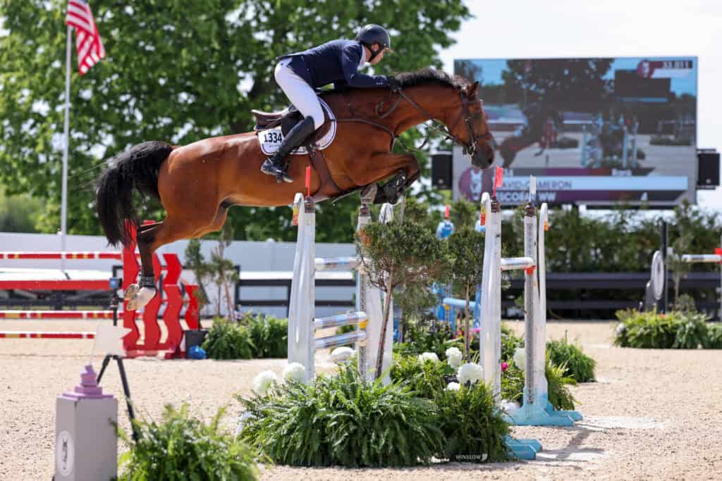 A rider in equestrian gear jumps a brown horse over a tall obstacle during a show jumping competition, with an American flag and scoreboard in the background.