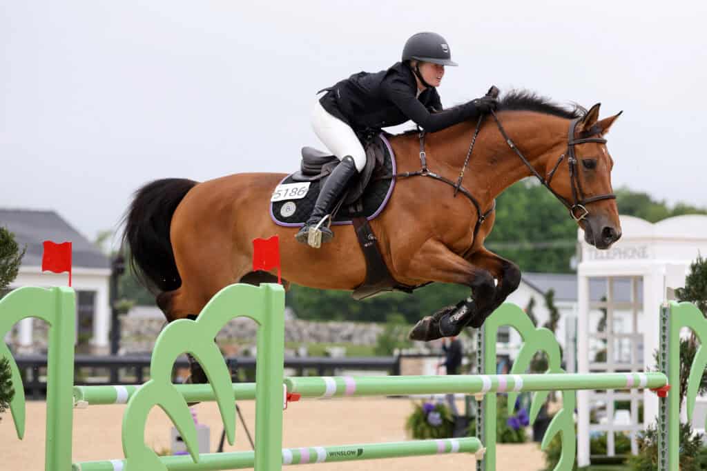 A rider in equestrian gear jumps a brown horse over a green obstacle during a show jumping competition.