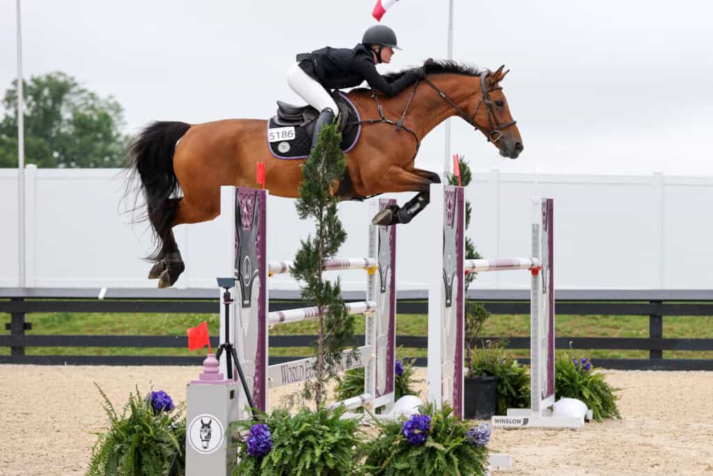 A rider in equestrian gear guides a brown horse over a high jump obstacle during a show jumping competition.