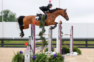 A rider in equestrian gear guides a brown horse over a high jump obstacle during a show jumping competition.